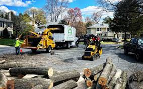 Best Tree Maintenance Programs  in Oblong, IL